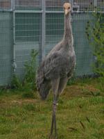 White Black Blue on 3rd July 2012 White Black Blue on 3rd July 2012